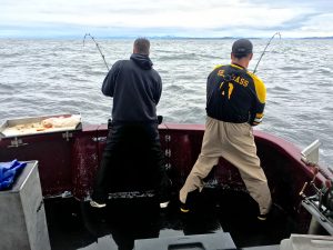 Reeling In Halibut Prince Rupert BC